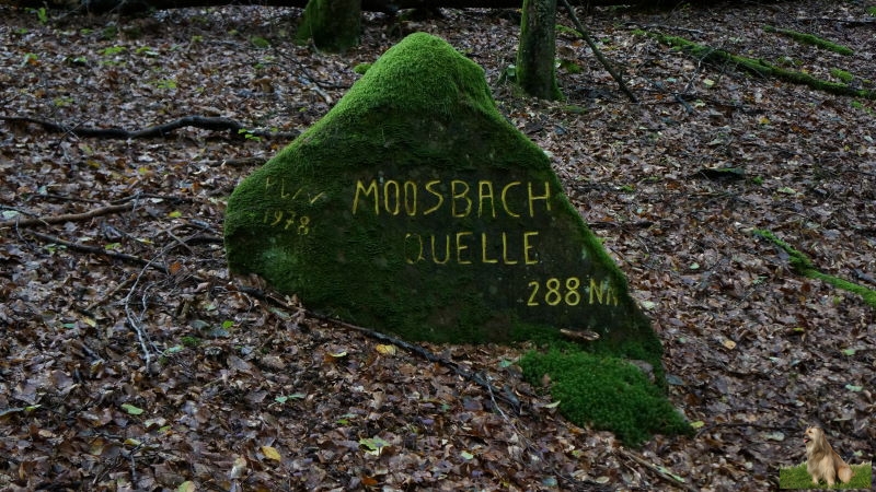 Ritterstein Nr. 205-2c Moosbach Quelle - PWV 1978 - 288 NN.JPG - Ritterstein Nr.205 Moosbach Quelle - PWV 1978 - 288 NN